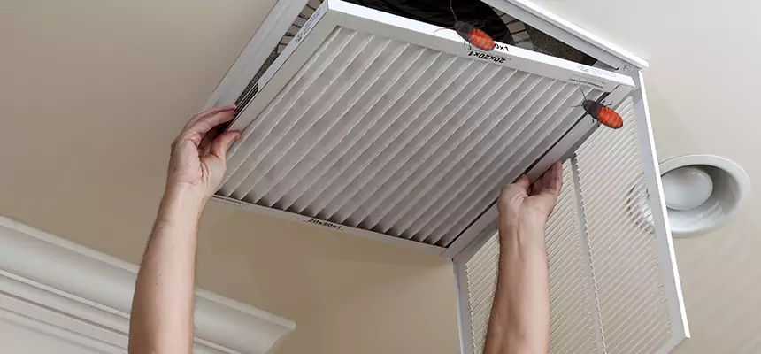 Our Insect Removal from Air Ducts Services in South San Jose Hills, CA