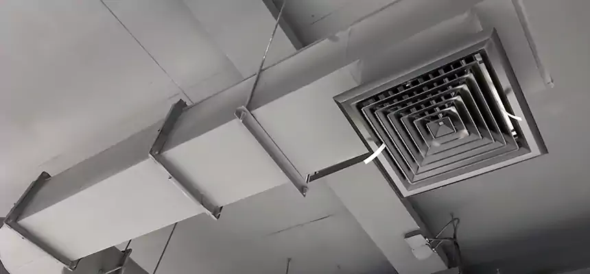 Our Pest Removal From Ducts Services in South San Jose Hills, CA