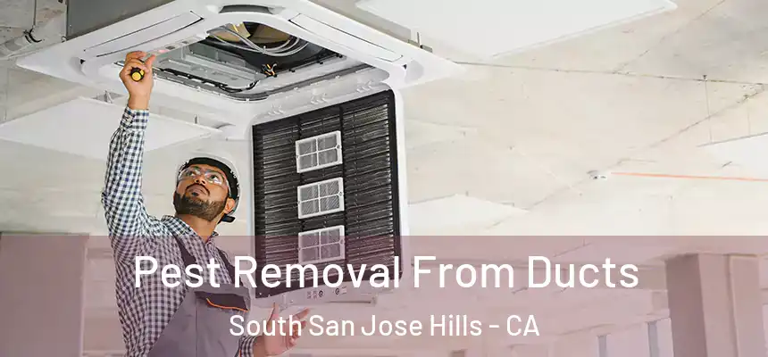 Pest Removal From Ducts South San Jose Hills - CA