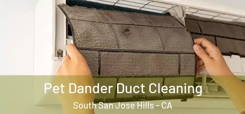  Pet Dander Duct Cleaning South San Jose Hills - CA