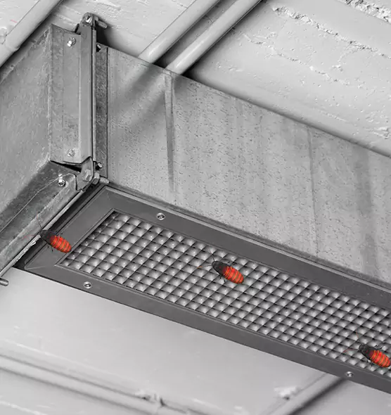 About Air Duct Cockroach Removal in South San Jose Hills, CA