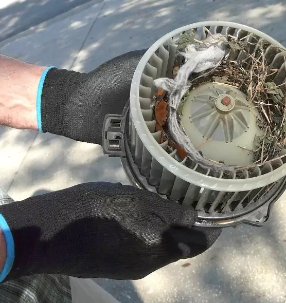 About Air Duct Mice Removal in South San Jose Hills, CA