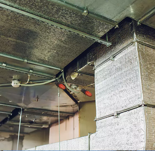 Why Homeowners & Businesses Trust Us in South San Jose Hills, CA?