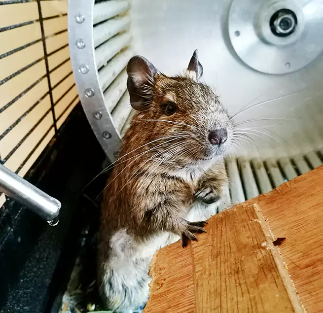 Why Homeowners & Businesses Trust Us South San Jose Hills, CA?