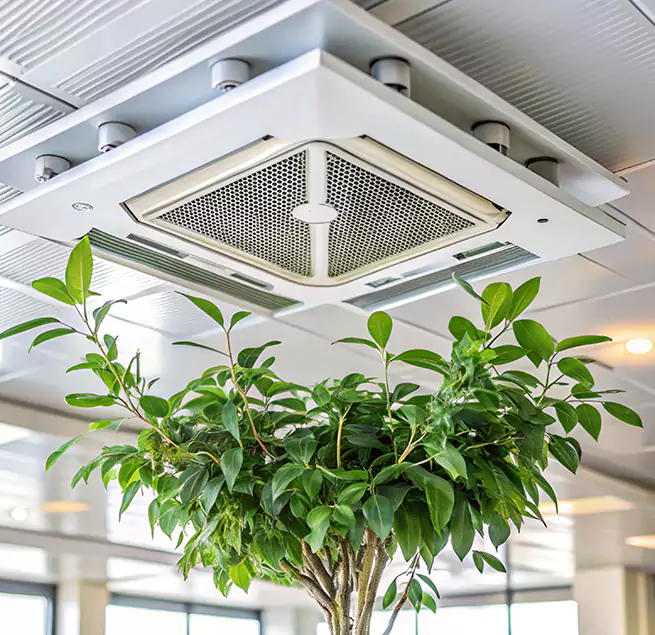 Why Homeowners & Businesses Trust Us in South San Jose Hills, CA?