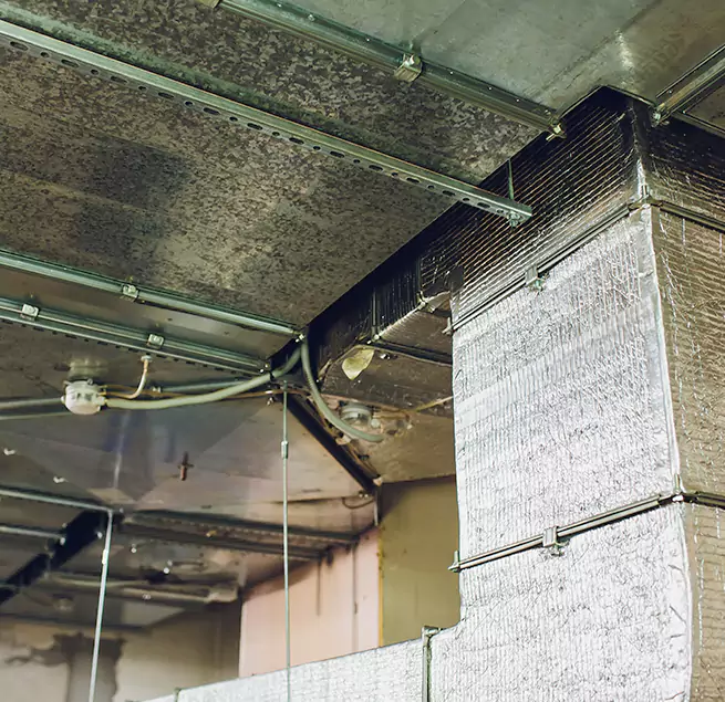 Why Homeowners & Businesses Trust Us in South San Jose Hills, CA?